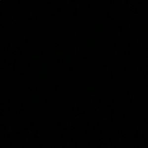 Meet your Posher, Jojo